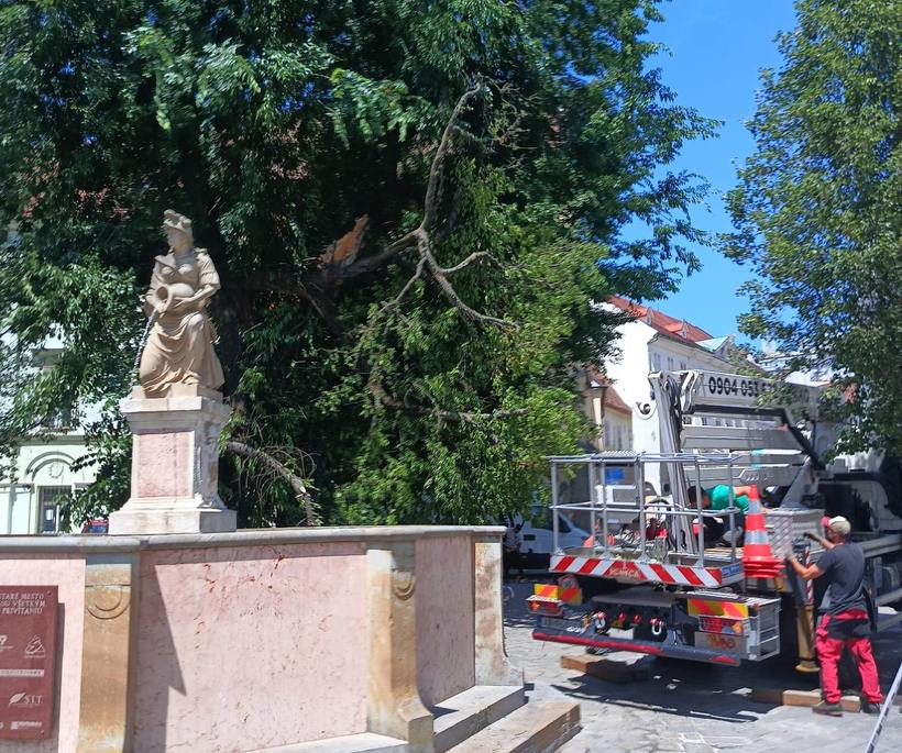 Konár stromu visel nebezpečne nad priestorom, po ktorom sa bežne pohybujú ľudia. O jeho odstránenie sa postarali pracovníci hlavného mesta.